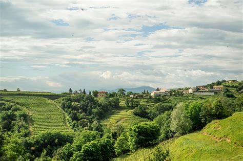 brda wijnstreek|De mooiste plekjes in de wijnregio Goriška Brda in。